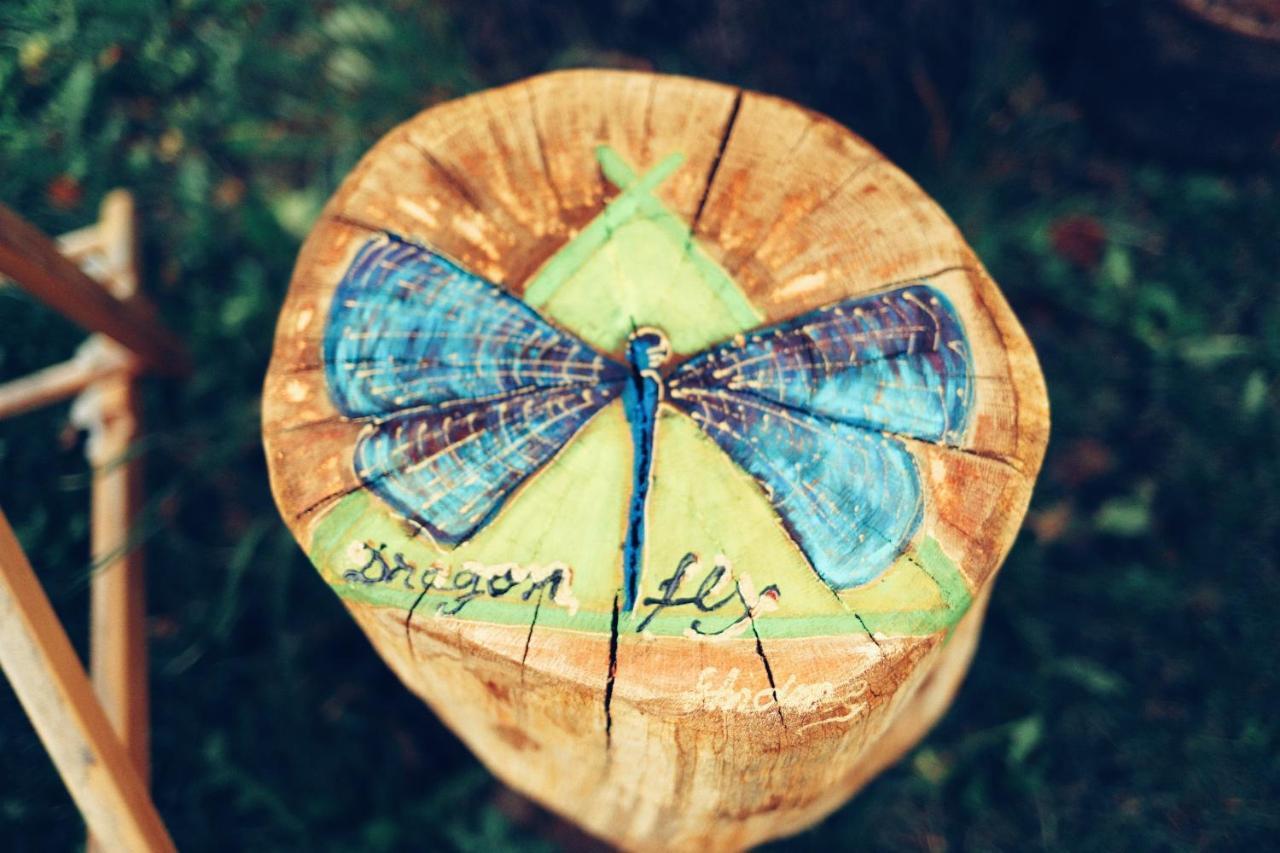 Dragonfly Studio With Garden Braşov Dış mekan fotoğraf